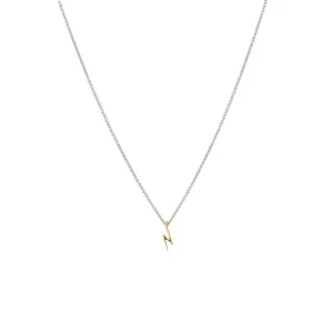 Beloved Necklace Tiny Gold Flash